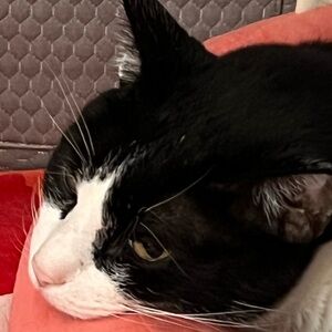 Giveaway 3/8 You won the giveaway and unlocked free shipping!